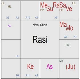 Horoscope Writing Service